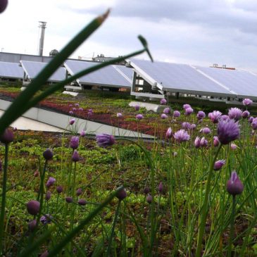 Renforcer les initiatives d’agriculture urbaine #votenagy70