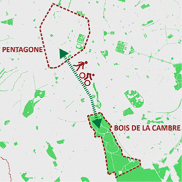 Rendre l’avenue Louise à ses habitants et relier le Centre-Ville au Bois de la Cambre par une promenade verte  pour piétons et cyclistes.