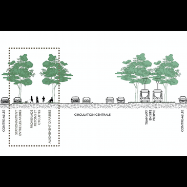 Une proposition à débattre: une piste cyclable sécurisée av.Louise